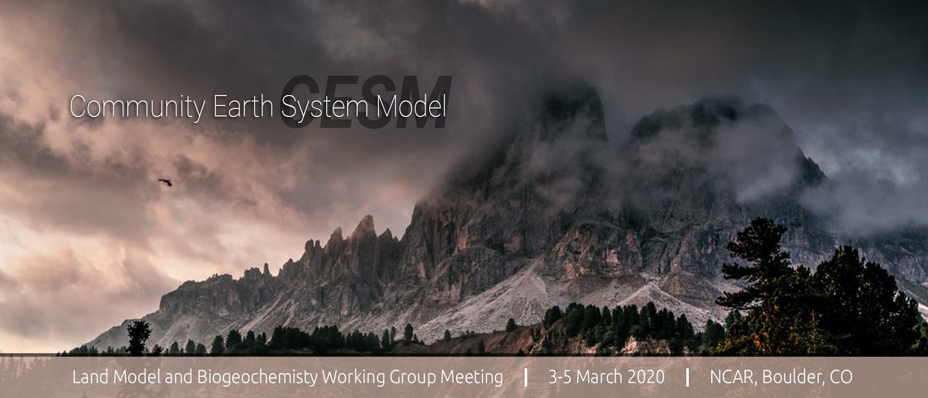 2020 CESM Land Model & Biogeochemistry Working Group Meeting