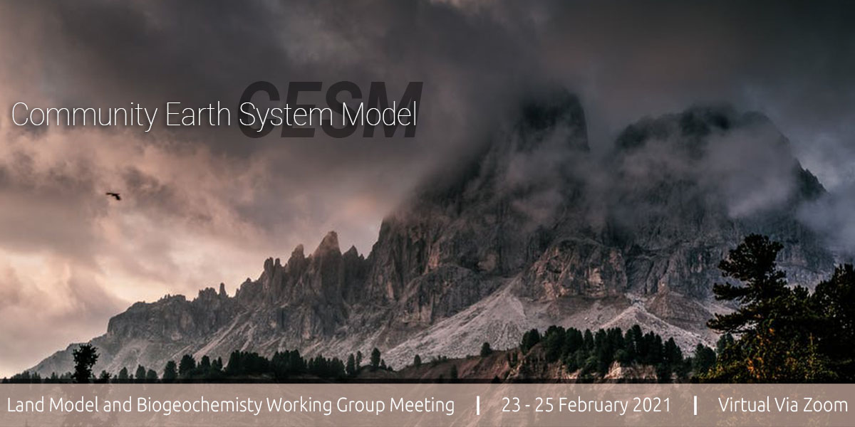 2021 CESM Land Model & Biogeochemistry Working Group Meeting